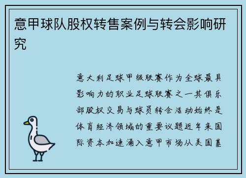 意甲球队股权转售案例与转会影响研究